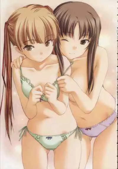 Shin Ringetsu Visual Fanbook