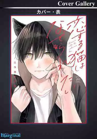 恋爱中的猫咪想被抚摸