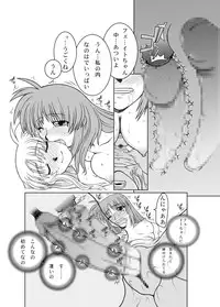 [Fresnel Lens (Hirano Kana)] 19→o3 VerF (Mahou Shoujo Lyrical Nanoha) [Digital]