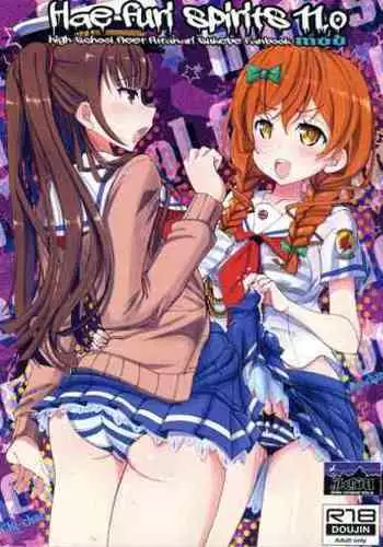 Hae furi spirits mod.11.0