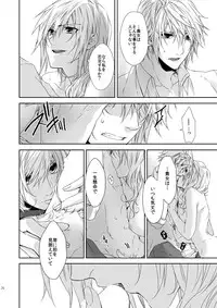 [CassiS (Rioko)] CXIA(Final Fantasy XIII) [Sample]