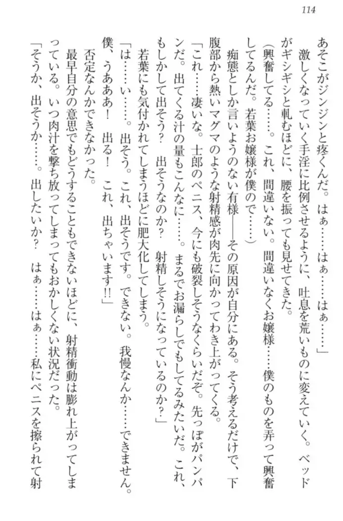 僕の主はトロ顔お嬢様