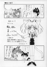 (C51) [Nekomimi Sorcery (Masamineko)] Ebaneko (Neon Genesis Evangelion)