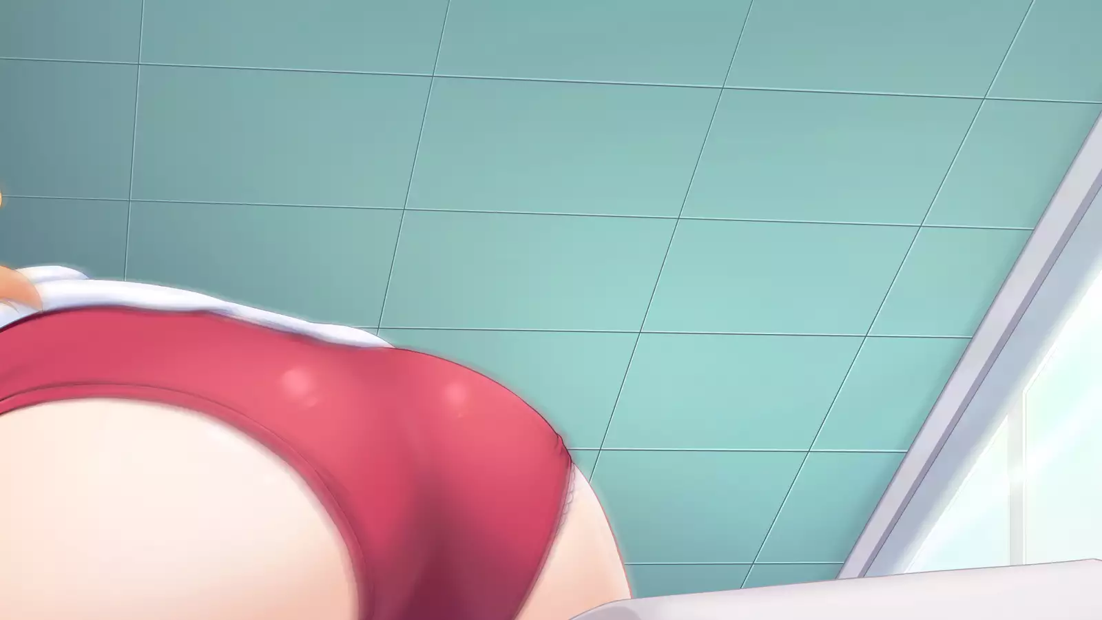 Junshin na Elf no Ryuugakusei ni Anal Choukyo shiyo！