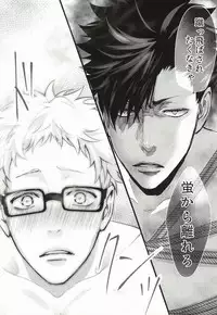 (RTS!!3) [Kuroquis!! (Kuro)] Hito wa Sore o Shitto to Yobu (Haikyuu!!)