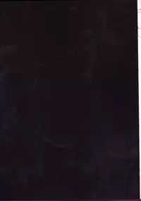 [Johnny Iron Pipe (Inugami Johnny)] Caesar Salad Ontama Nose (One Piece)