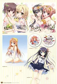 [Saga Planets]フローラル・フローラブ ビジュアルファンブック (Illustrations only)