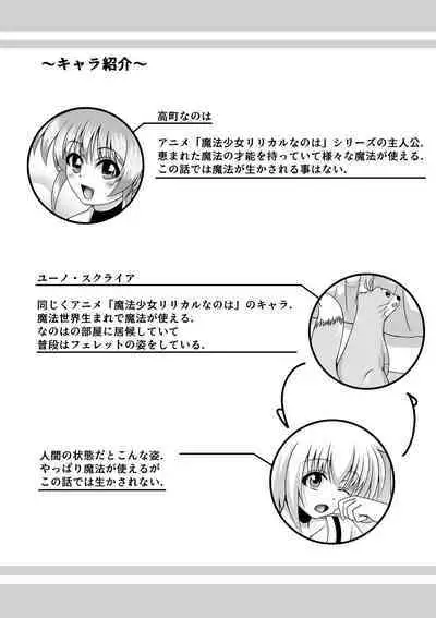 [Yurikamome8160] すぴりちゅあるないと (Mahou Shoujo Lyrical Nanoha)