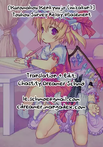 Touhou Survey Relay @Basement