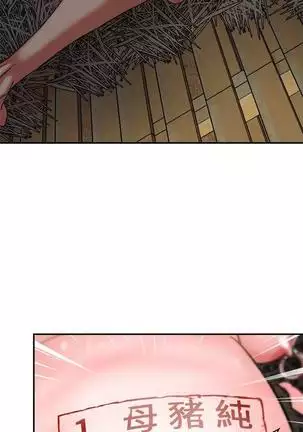 母豬養成計畫