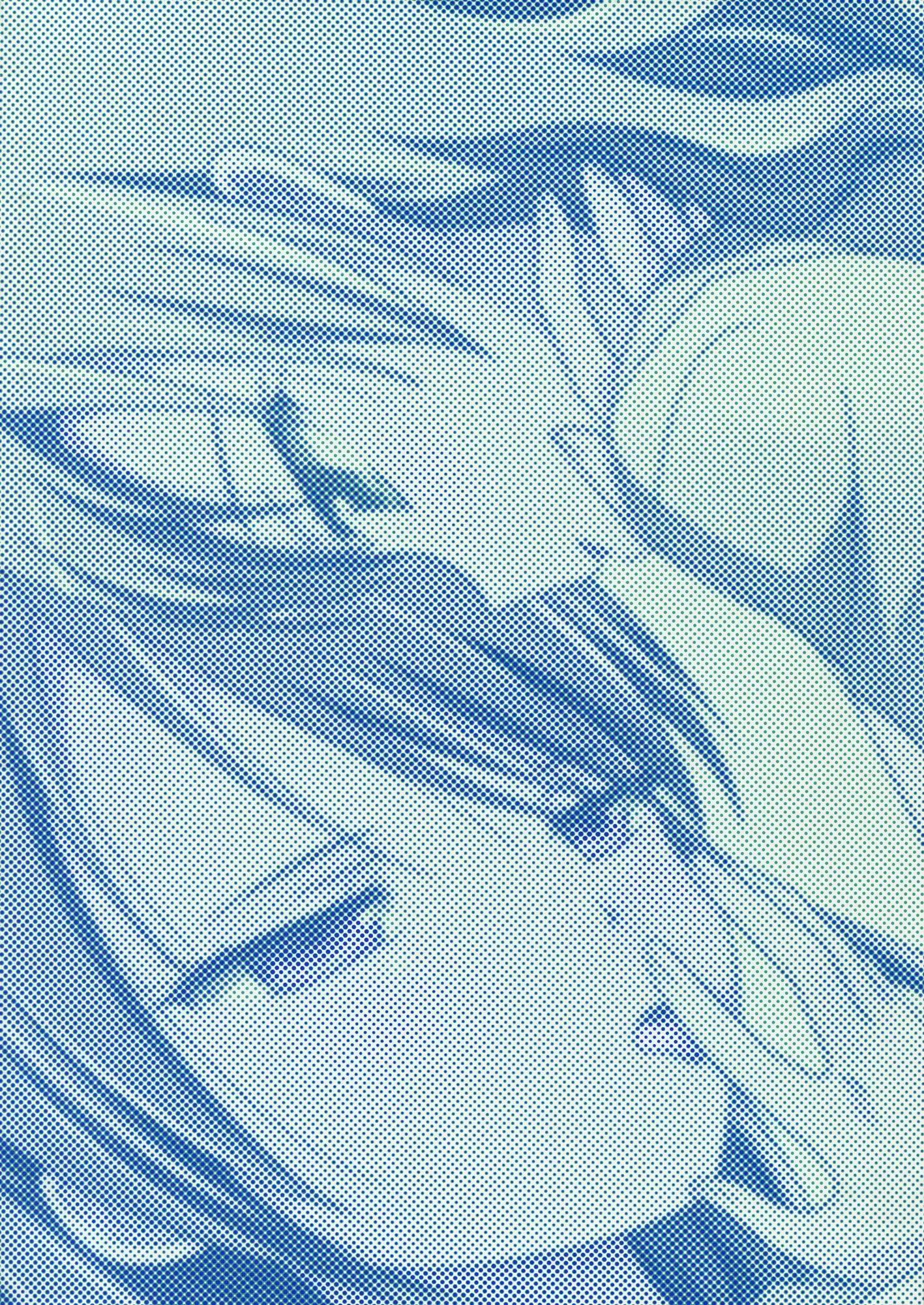 Kuttsukiboshi -Mousou Test- | -Delusion Test-