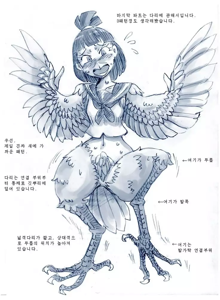 Study and practice about bird TF