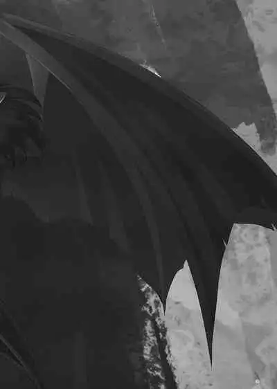 Mamono no Kuni no Himegimi