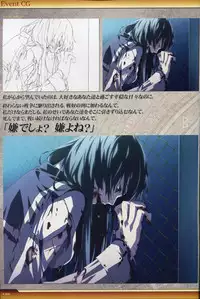 Dies irae Visual Fanbook - White Book