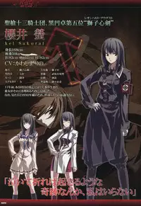 Dies irae Visual Fanbook - Black Book