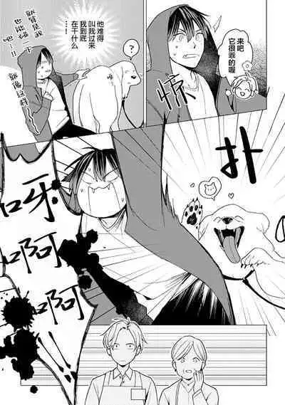 恋爱中的猫咪想被抚摸