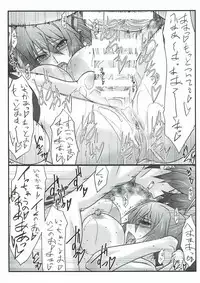 (Tora Matsuri 2015) [STUDIO TRIUMPH (Mutou Keiji)] Astral Bout SP02 (IS <Infinite Stratos>)