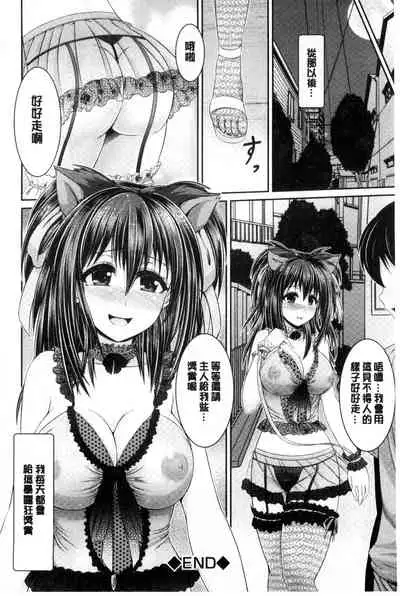 Binyu Roshutsu Mania | 美乳露出狂熱