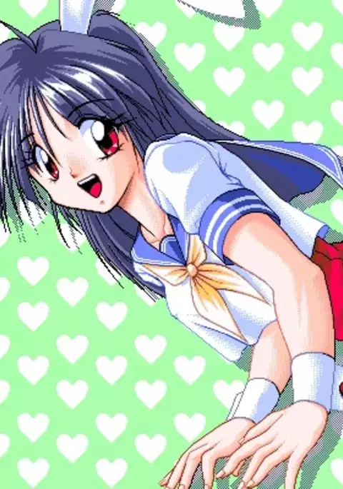 Sailor Bunny Gashuu Sono Ichi