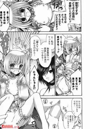 オトメ解禁日 しーざー