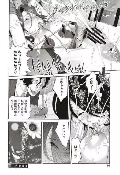 Nyuugyaku no Rudbeckia