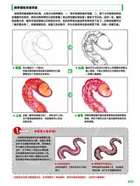 How to Draw the Shokusyu