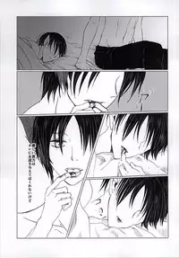 (Kyuushuu Hekigai Chousa Haku) [Oversight (Machiko)] CrazyMoon (Shingeki no Kyojin)