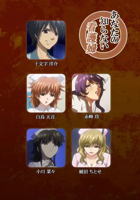 Anata no Shiranai Kangofu Zenpen Complete Ban