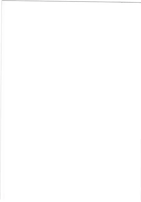 Senshadou to Seijijou