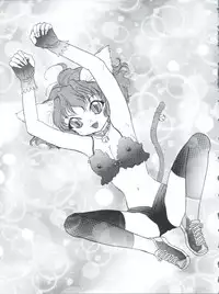 [Team Plus-Y (Various)] PLUS-Y Vol. 26 (Various)