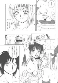 (C70) [Hanamaru Mugen Gym (Hyoujun Mai)] Sakura Chiru (Dead or Alive)