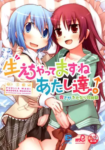 (COMIC1☆6) [ENERGIA meets Lucky (Various)] Haechatte Masu ne Atashi-tachi! (Puella Magi Madoka Magica)