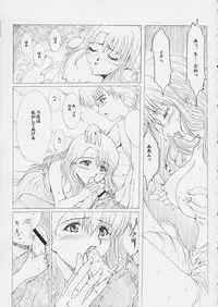 [Neko to Hato (Hatoya Mameshichi)] Promesse Yakusoku no Toki (Noir)