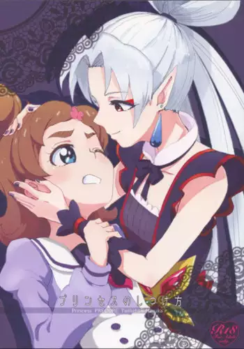 (Rainbow Flavor 13) [Yukirinrin! (Oyu)] Princess no Shitsukekata (Go! Princess PreCure)