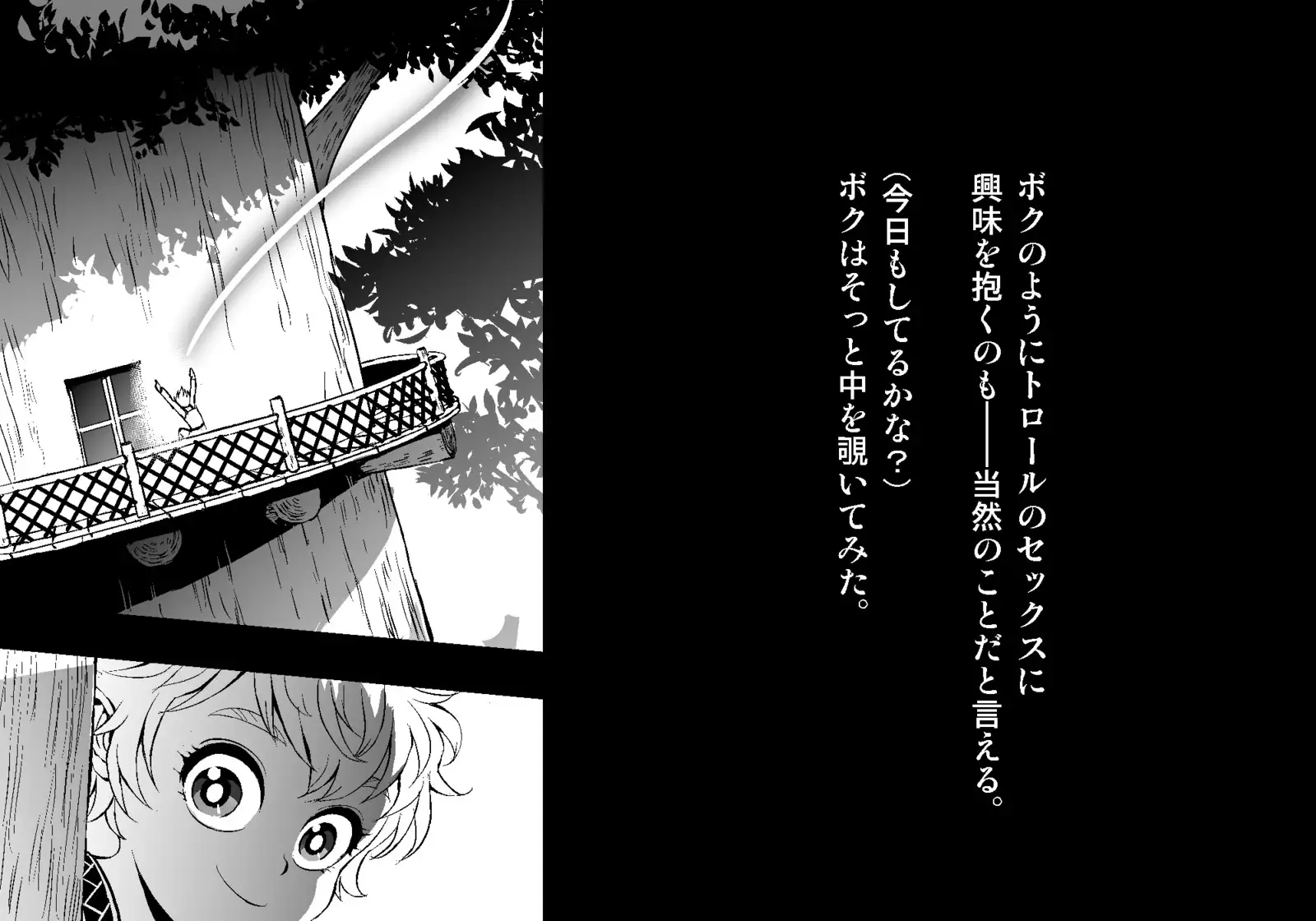 フェアリーセティ