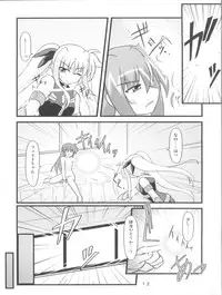 (C74) [Kuchiki no Uro (Enma Koorogi)] MiDaReGoTo (Mahou Shoujo Lyrical Nanoha)