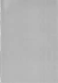 (C82) [r.i.s factory (Ruschuto)] SECRET SERVICE (THE iDOLM@STER)