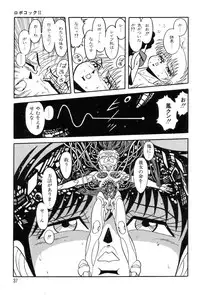 [Kisaragi Mitsuo] Robo Cock