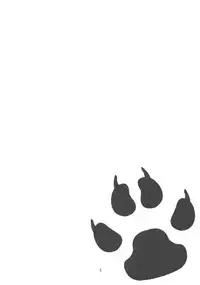 (C84) [434 Not Found (isya)] Wanko no Tadashii Shitsuke Kata (Dokidoki Precure)