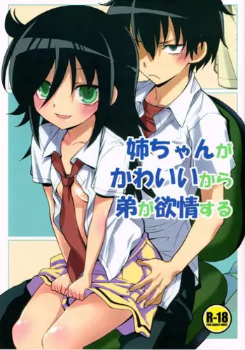 (CT22) [Monte Carlo-ya (Sena Monaco)] Nee-chan ga Kawaii kara Otouto ga Yokujo suru (Watashi ga Motenai no wa Dou Kangaetemo Omaera ga Warui!) [English]