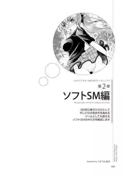 いますぐデキる 図説SMプレイマニュアル