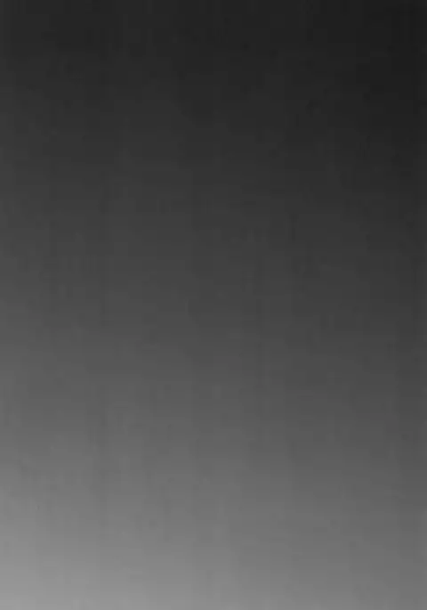 Nanbantorai no Suggoi Okou