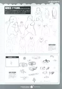 Tsunagaru Bangle - Visual Fan Book