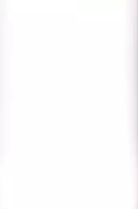 (SC49) [TTT (Miharu)] Yorozu Feti Netorare (Various)