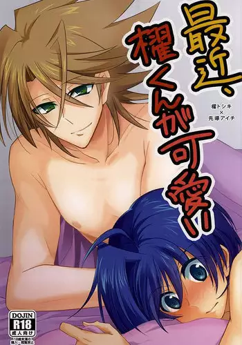 (Stand Up! 16) [Gum Tape Type (Nauchi)] Saikin, Kai-kun ga Kawaii (Cardfight!! Vanguard)