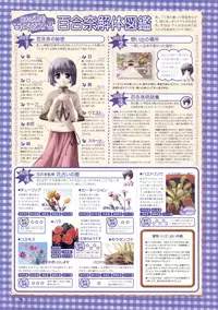 Canvas Sepia iro no motif Visual Fan Book