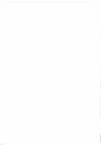 (C85) [Rampancy (Bakko)] One’s Love 2 (Touhou Project)