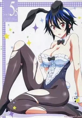 [Project Harakiri (Kaishaku)] Nisenisekoi 5.5 (Nisekoi) [Sample]