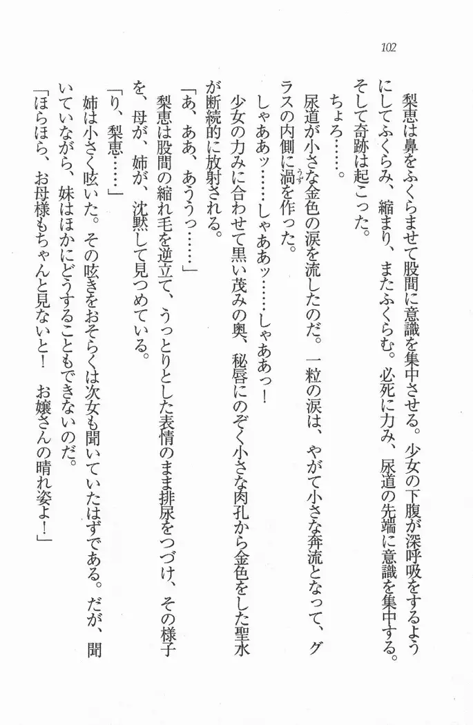 メイド喫茶　猫の隠れ家