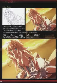 Dies irae Visual Fanbook - Black Book